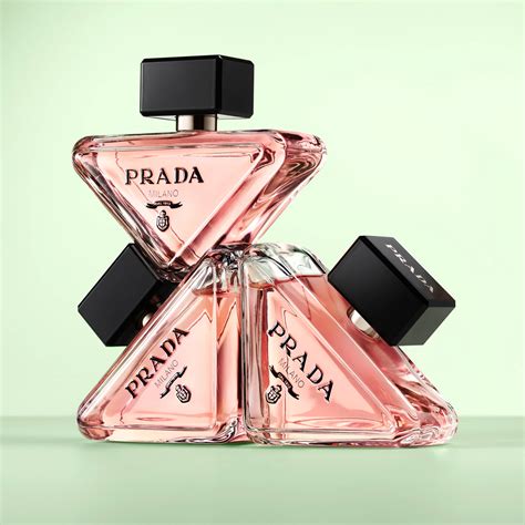 rossmann prada paradox|prada paradoxe echo.